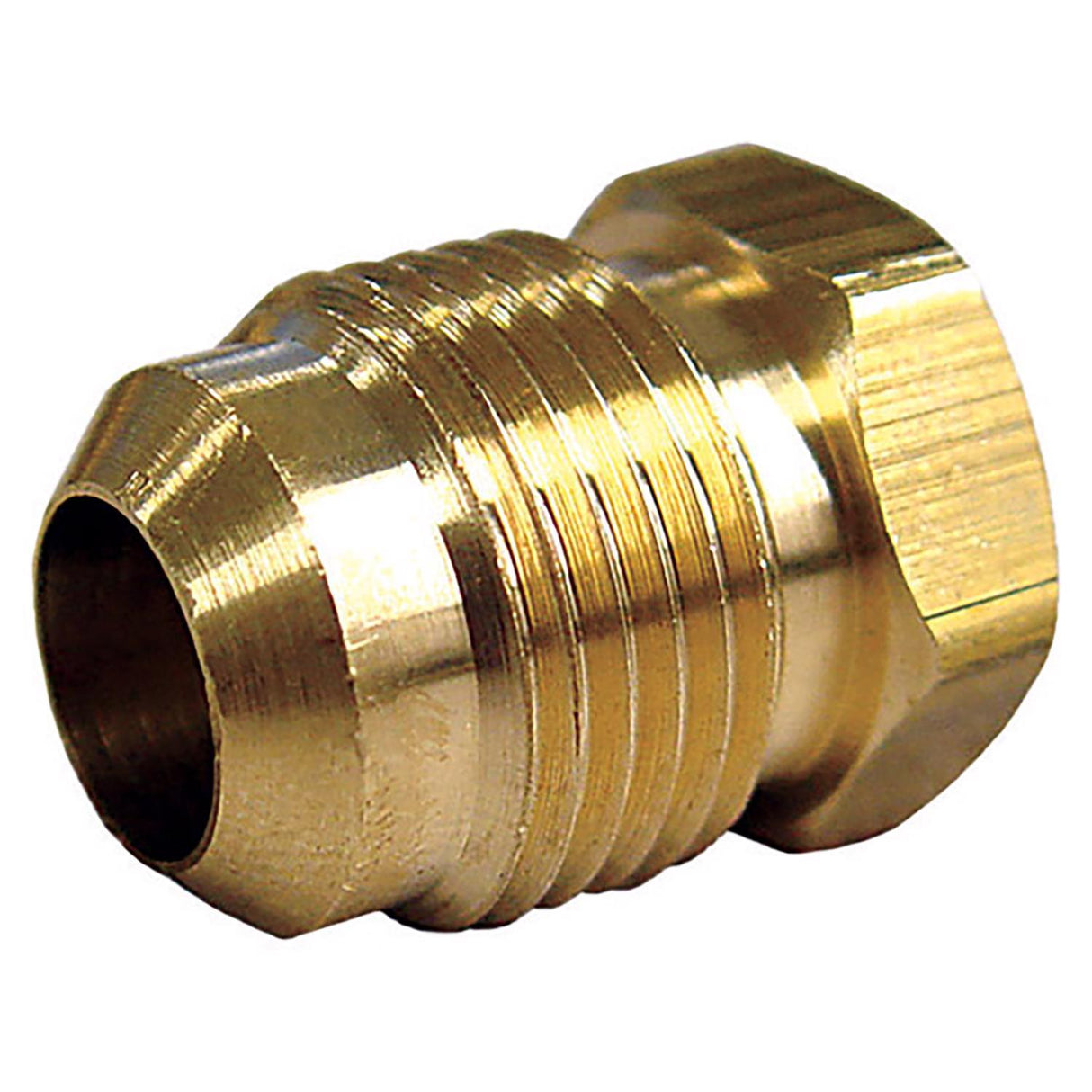 Brass Flare Plug